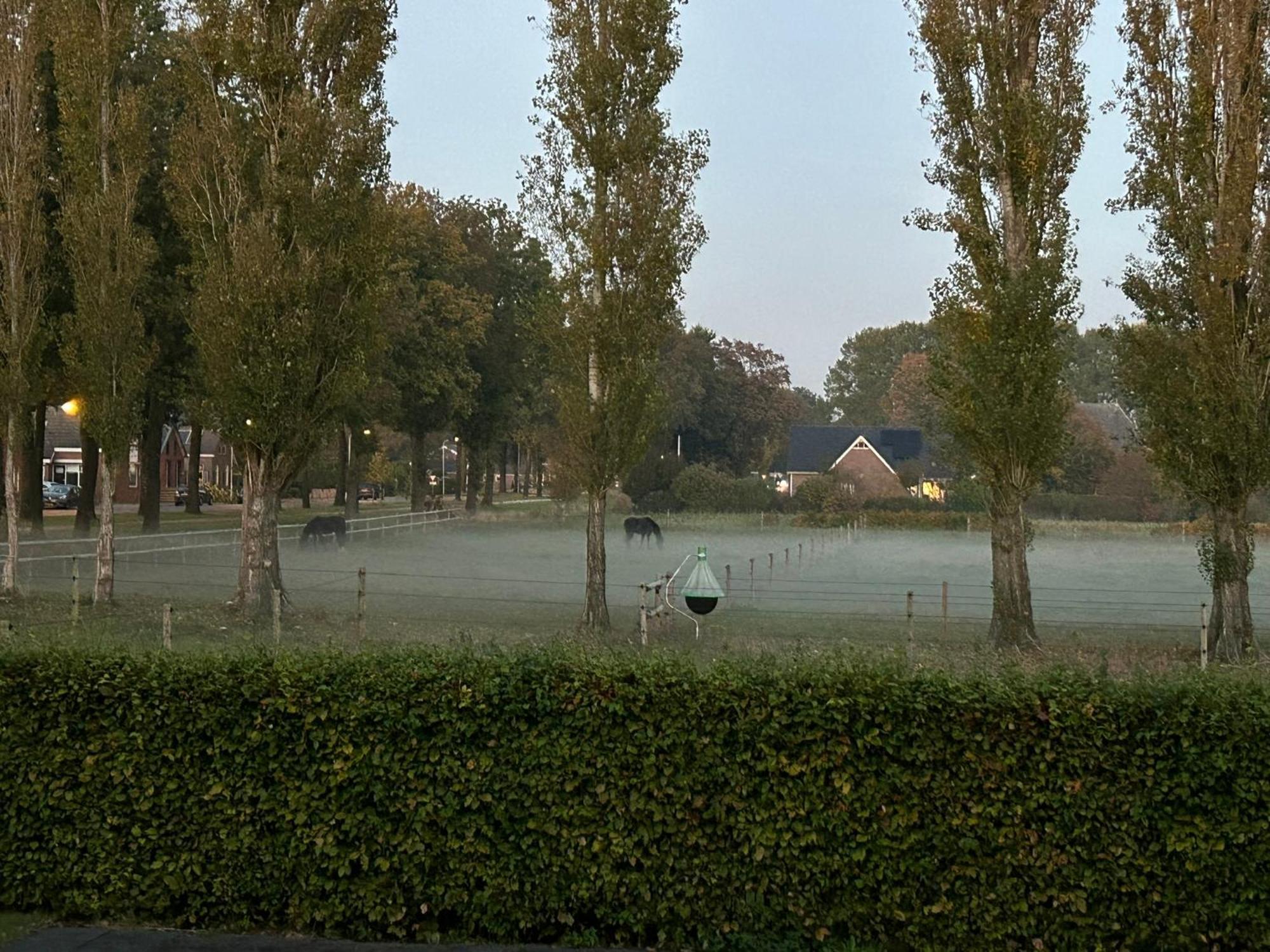De Cordobahoeve Tweede Exloermond Экстерьер фото