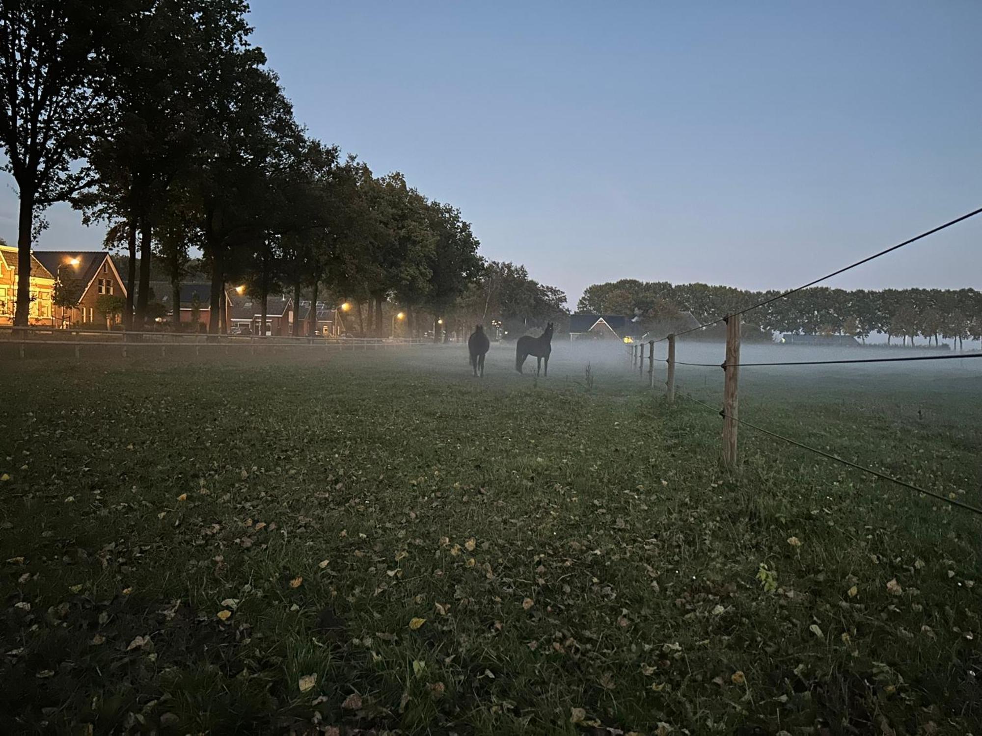 De Cordobahoeve Tweede Exloermond Экстерьер фото